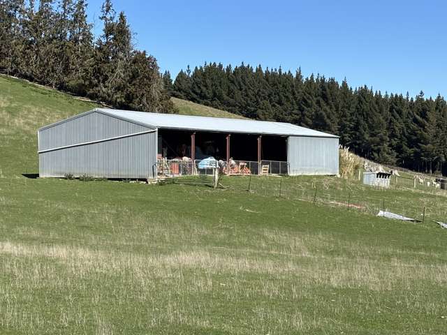 Waihola Highway Waihola_3