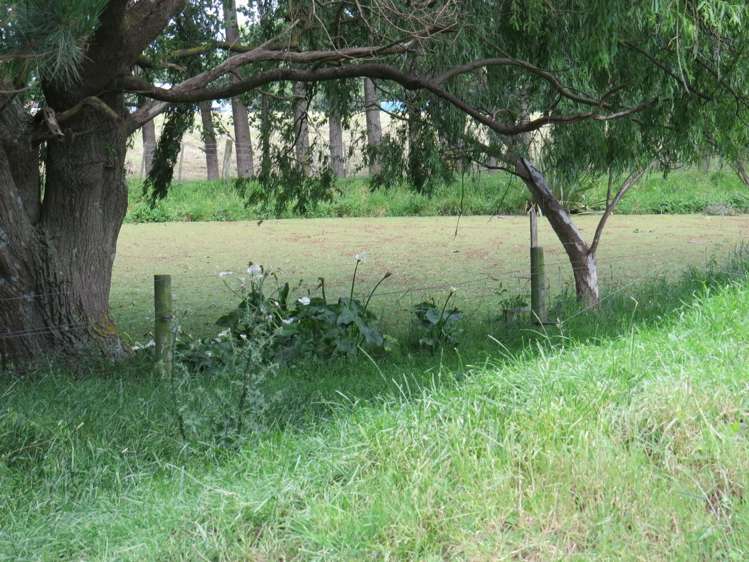 569 Taonui Road Feilding_9