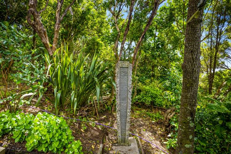 66 Piha Road Piha_44