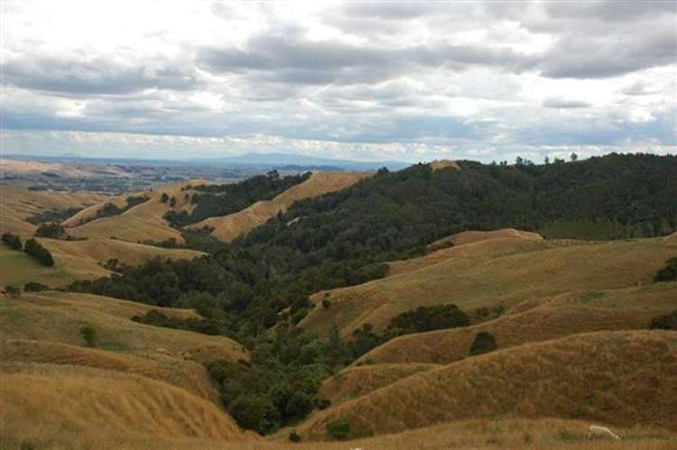 Waiti Road Tahuna_39