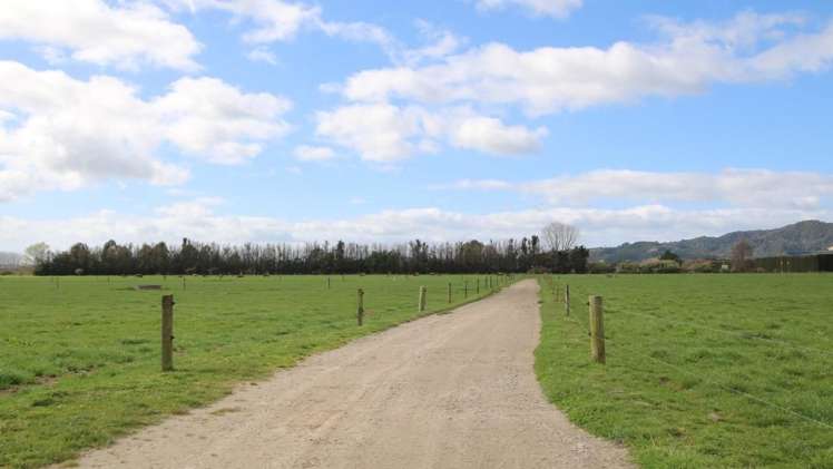 98 Mccracken Road Edgecumbe_8