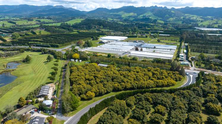 22a Sharp Road Aongatete_18