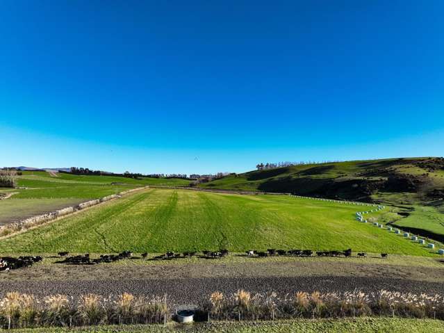 379 Waikaka Road Maitland_1