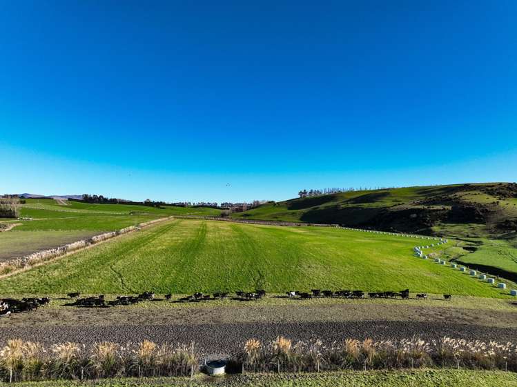 379 Waikaka Road Maitland_1