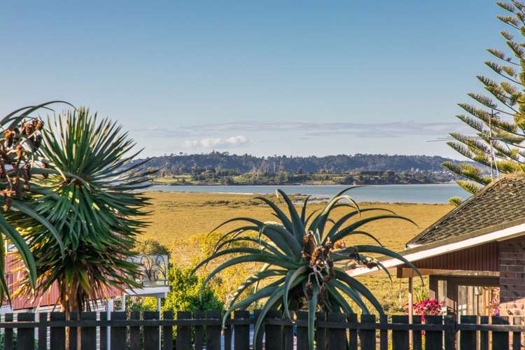 45 Rewarewa Road Te Atatu Peninsula_21
