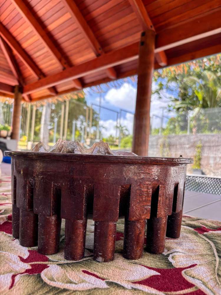 Lot 19 Tubou Street Suva_24