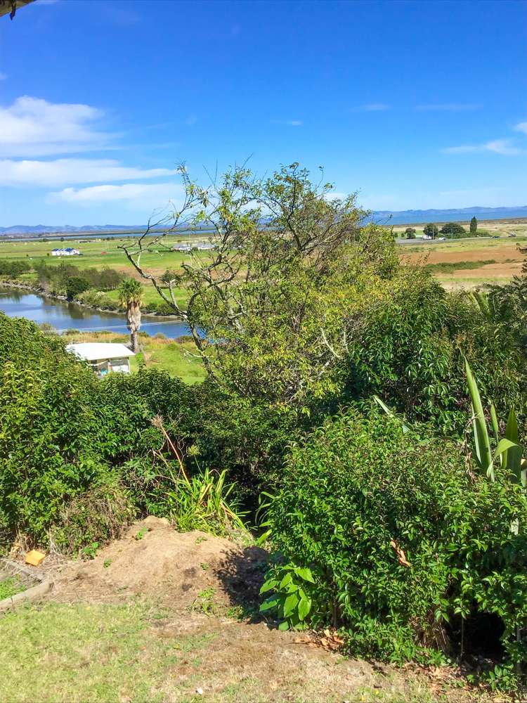 107 Herewaka Street Thames_1