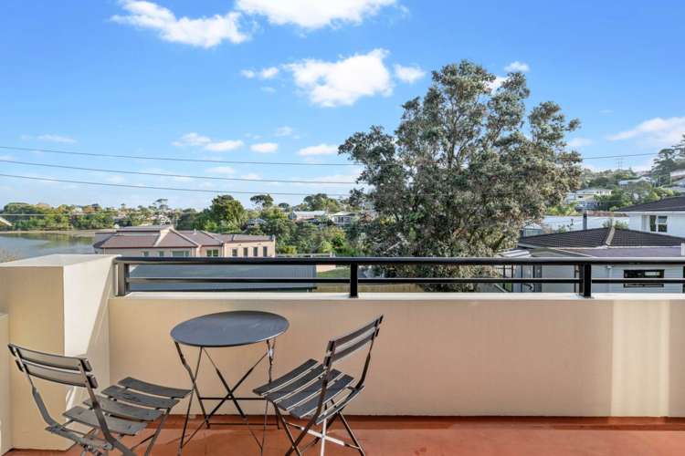 47a Frederick Street Hillsborough_15