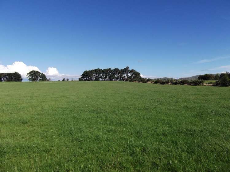 275 Cliff Road Eketahuna_14