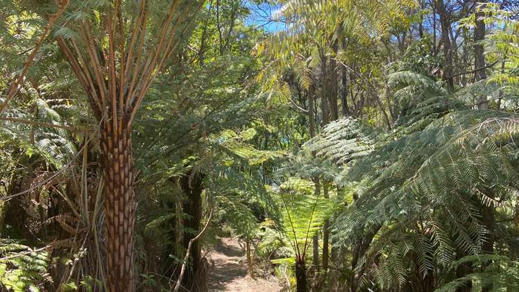 Lot 1 Croisilles-French Pass Road Okiwi Bay_17