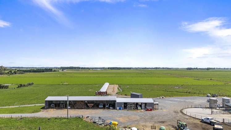 145 Campbells Road Opiki_10