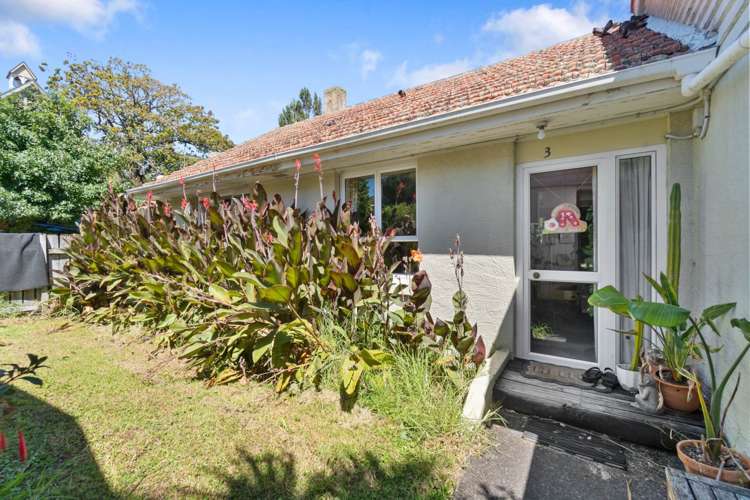 1-4 & 5-8/441 Dominion Road Mt Eden_6