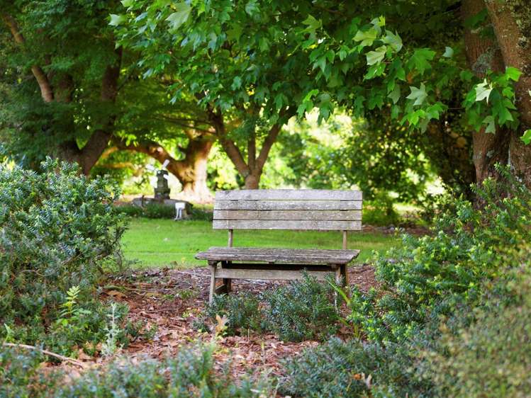 52e Loop Road Wairoa_41