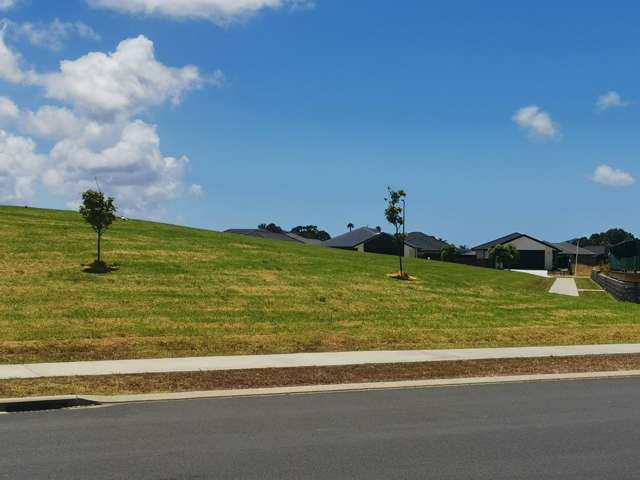 113 Kaurinui Crescent One Tree Point_2