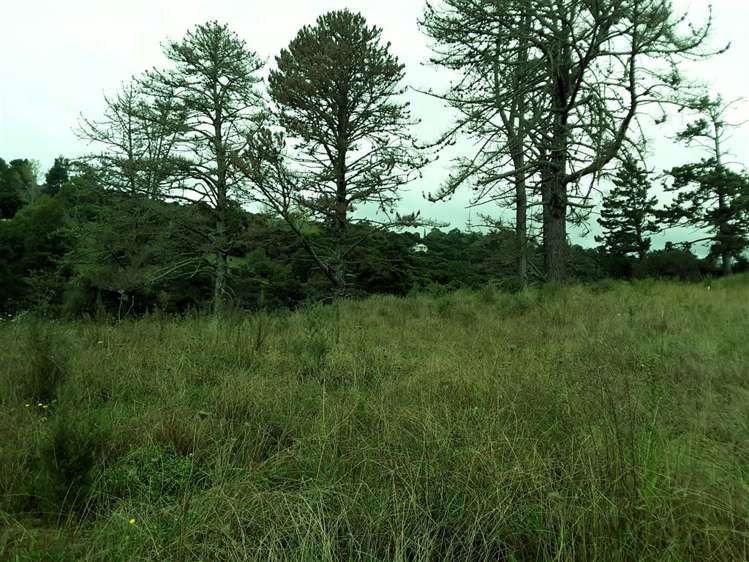 276d Okura River Road Long Bay_6