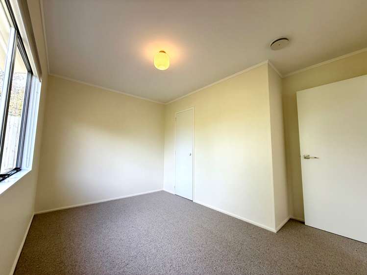 7B Rose Street Raglan_13
