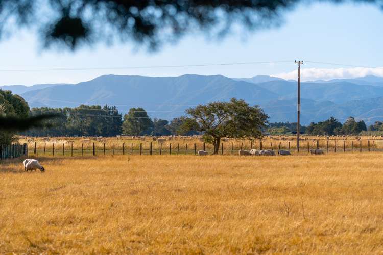 247 Cross Line Greytown_18