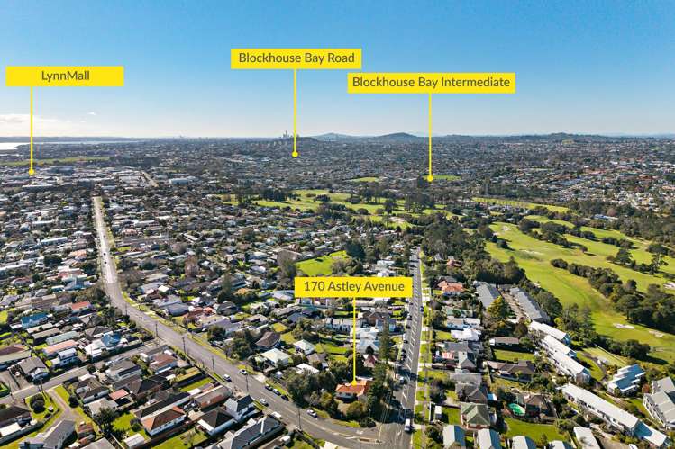 170 Astley Avenue New Lynn_21
