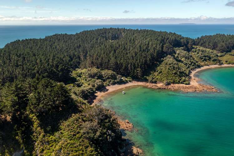 Motuketekete Island Kawau Bay_18