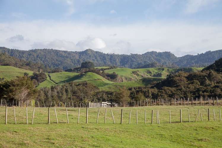 157 Parakiwai Quarry Road Whangamata_6