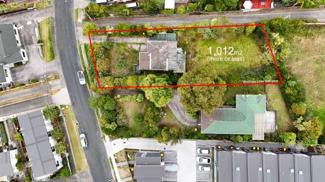 45,45A&45B Ambler Avenue Glen Eden_3