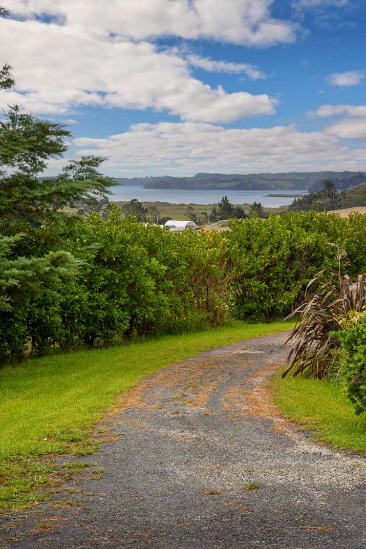 81 Grange Street Warkworth_24