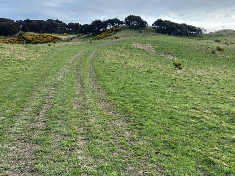 121 Silverstream Valley Road North Taieri_16