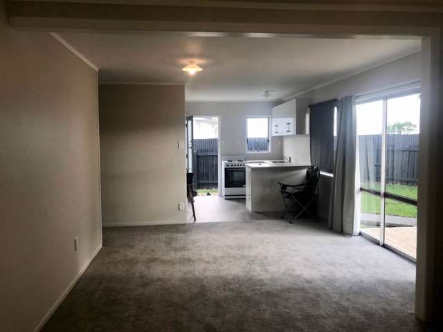 20a Frank Hewitt Street Pukekohe_2