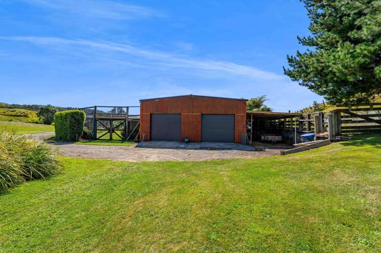 77c Dorset Road Hillsborough_18