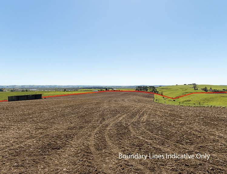 32 Hull Road Te Kohanga_4