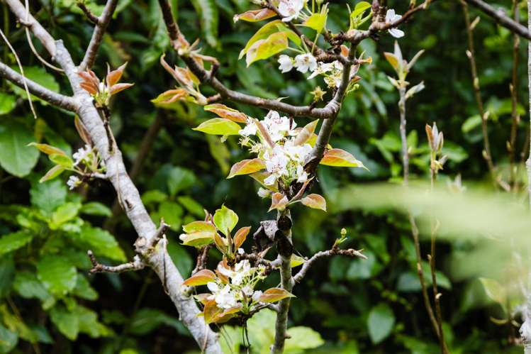 3454 State Highway 6 Barrytown_10