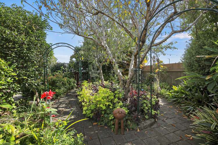 116 Mackay Street Thames_4