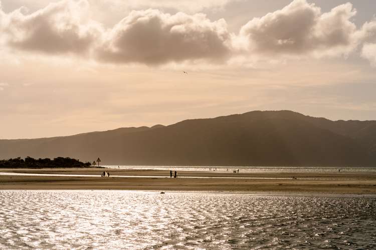 18 Takahe Drive Paraparaumu Beach_44