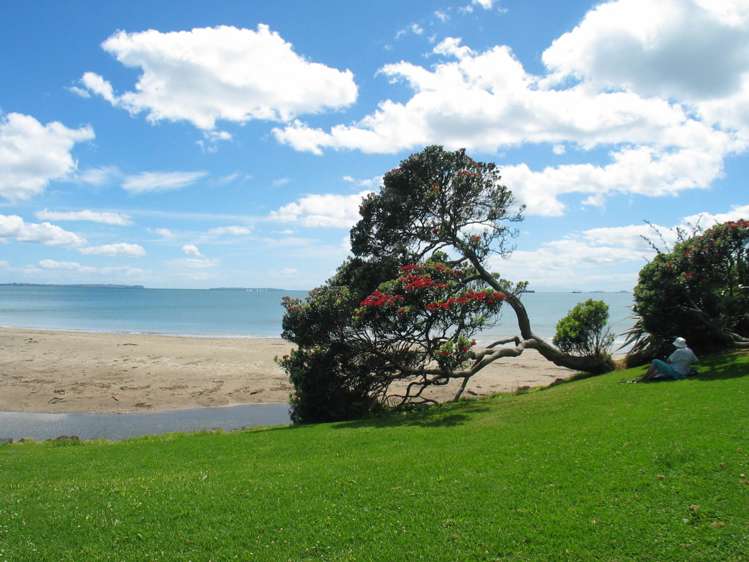 121 Kowhai Road Mairangi Bay_43