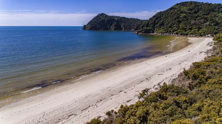 25 Awaroa Bay Awaroa Bay_11