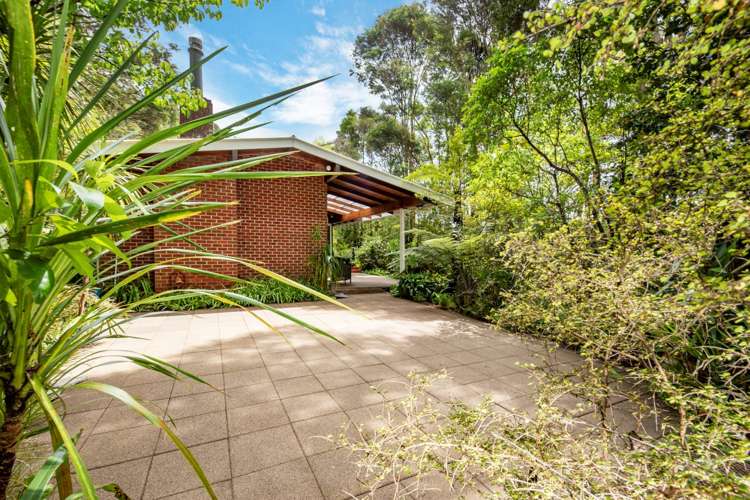 202 Konini Road Titirangi_6