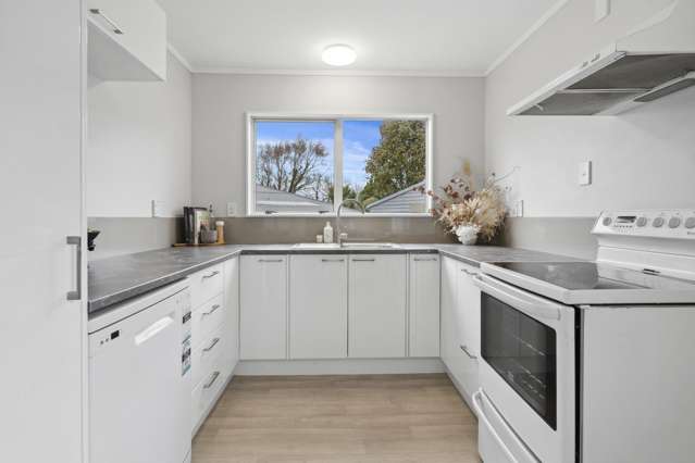 49A Kings Drive Levin_2