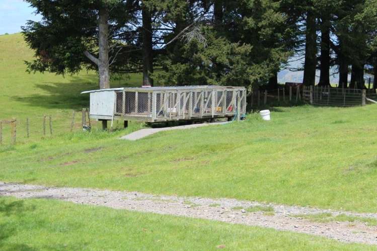 378 Ridgemount Road Tutira_13