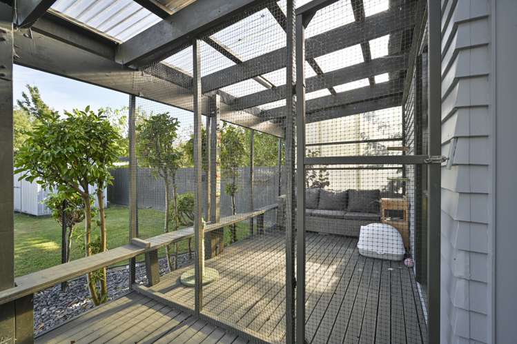 1212 Jellicoe Street Mayfair_13