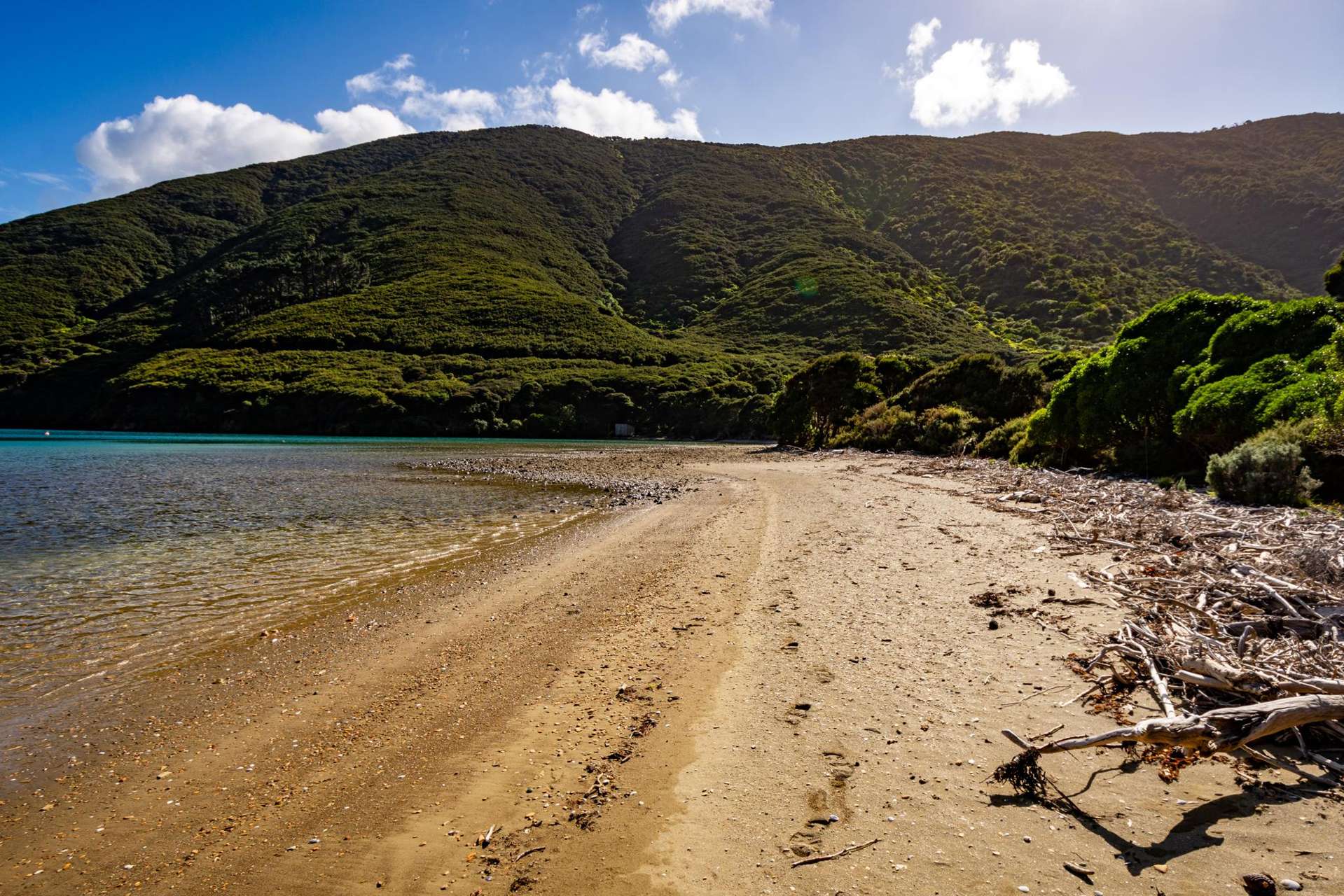 Lot 4 + 5 Te Aroha Bay, Otanerau Bay Marlborough Sounds_0