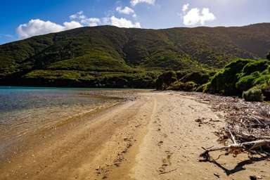 Lot 4 + 5 Te Aroha Bay, Otanerau Bay_3