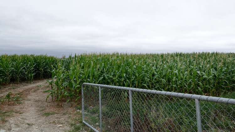 558 Seadown Road Seadown_5