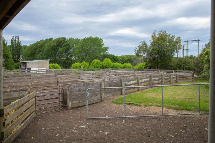 176 Campbells Road Waimate_6