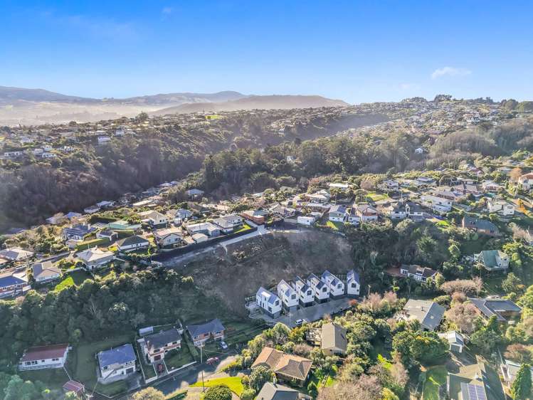 Heath Street Andersons Bay_9