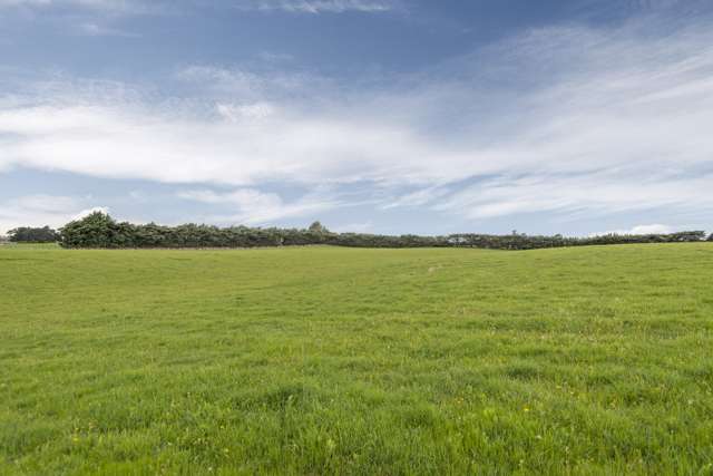 409B Springbank Road Swannanoa_4