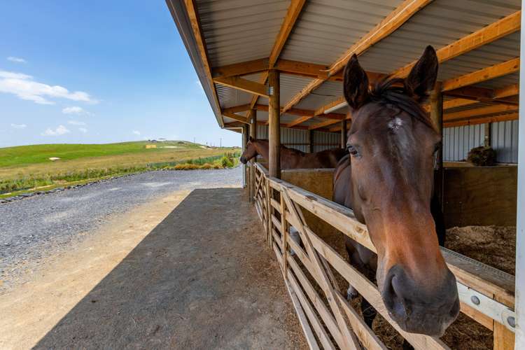 64 Brown Road Kaiwaka_5