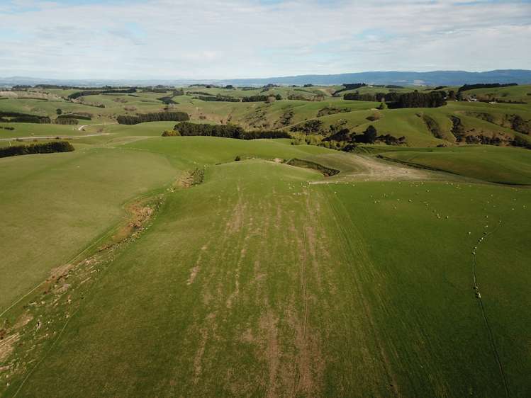 572 Cairn Road Clinton and Surrounds_10