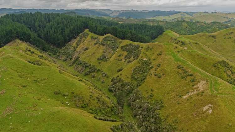 240 Agnews Road Hunterville_6