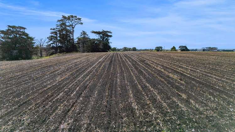 40 Rona Road Brixton_23