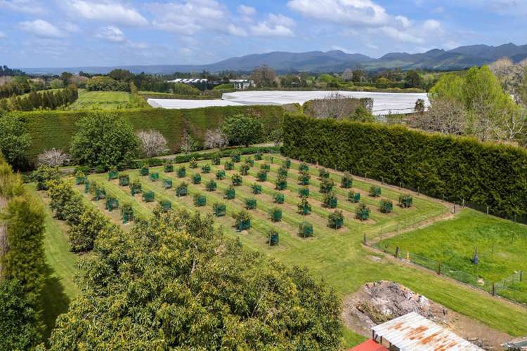 19 Henry Road Katikati_20